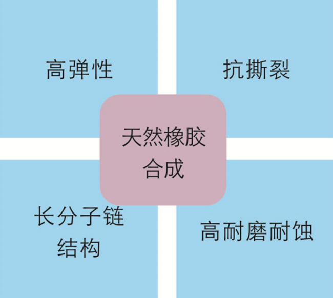 進(jìn)口結(jié)構(gòu)的膠管閥膠管特點